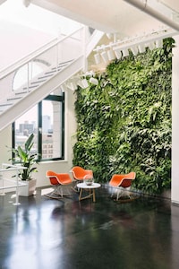 Social Media-Friendly Offices Image 4