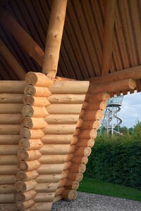 Artist-Created Miniature Log Cabins Image 4