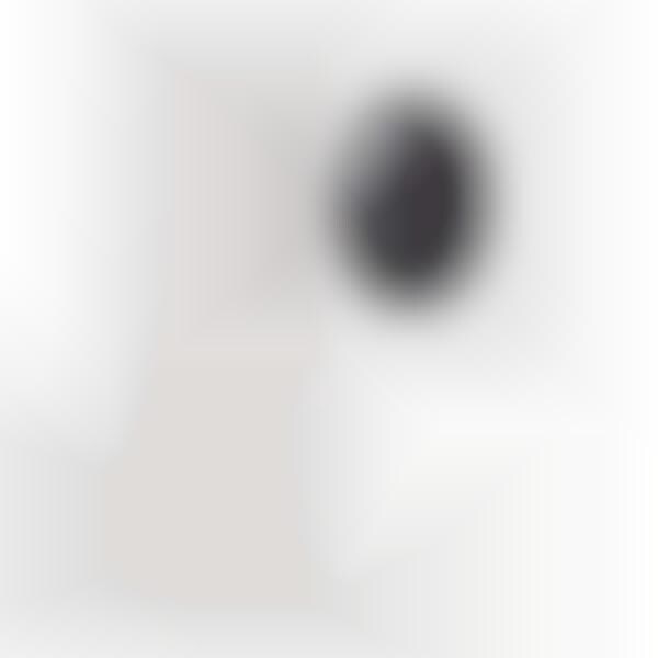 Panoramic Indoor Security Monitors