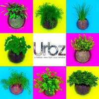 Herb-Growing Wall Orbs Image 4