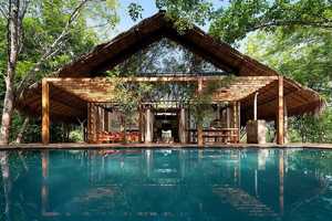 Luxe Jungle Retreats