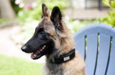 Multifaceted Smart Collars