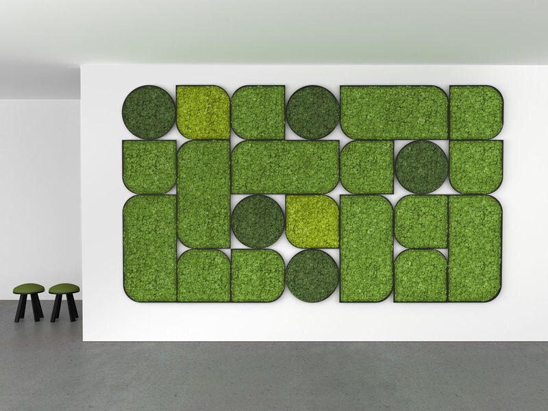 Nature-Inspired Noise-Cancelling Solutions