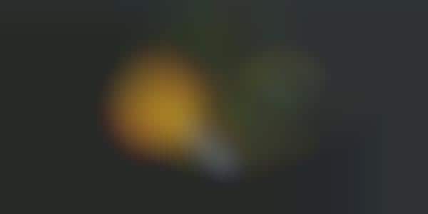 Encapsulated Beer Pearls