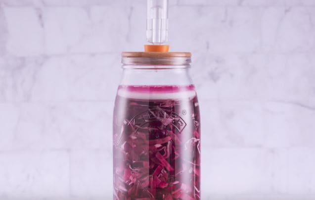 Fermentation Starter Kits