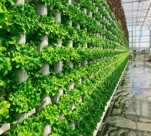 Top 80 Eco Trends in July