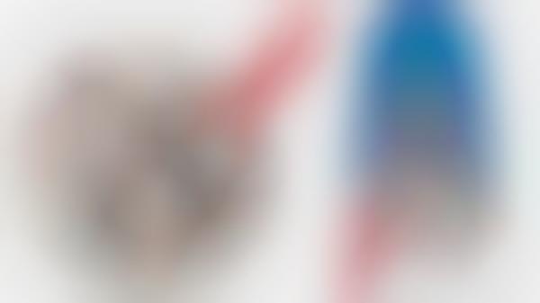 Patriotic Ice Creams Desserts