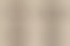 Digitally Printed Magnetic Shape-Shifters