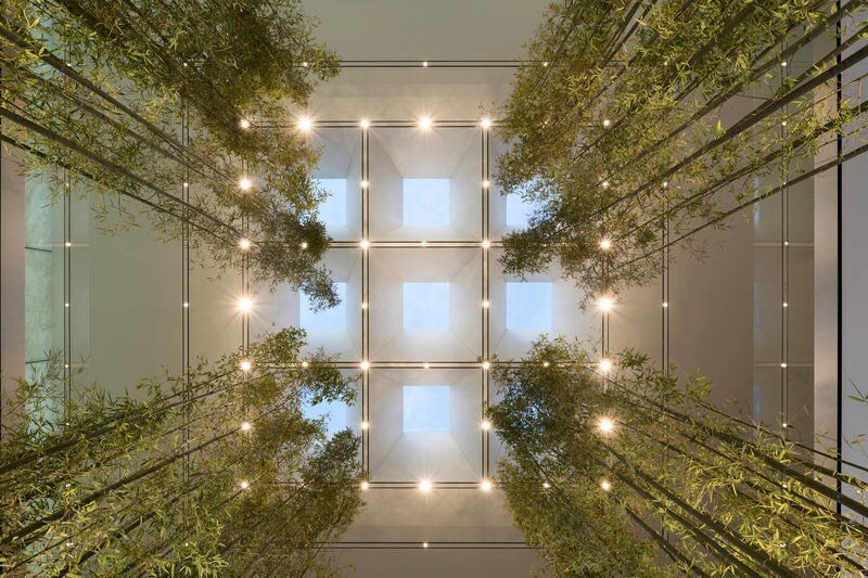Bamboo-Detailed Green Retail Spaces