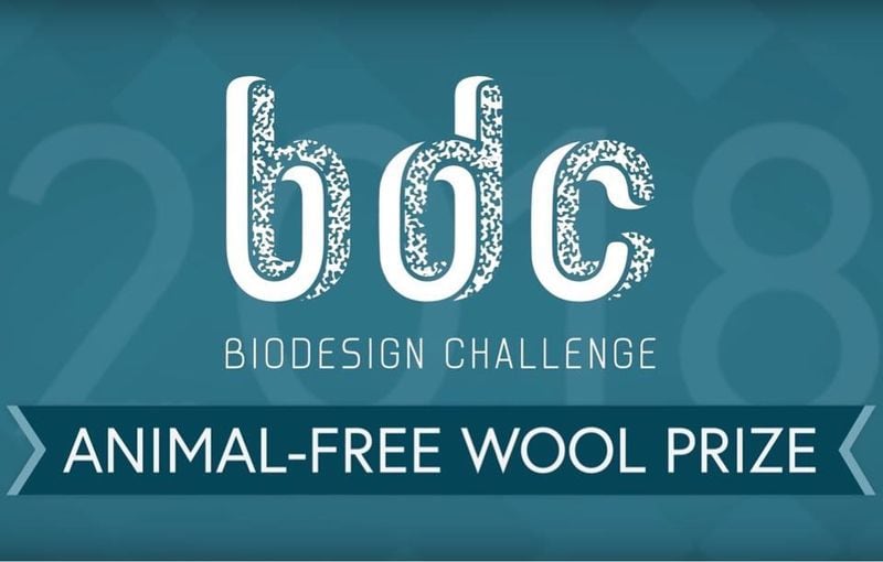 Vegan Wool Alternatives