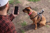 AI-Integrated 360-Degree Cameras Image 4