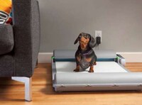 Automated Indoor Canine Toilets Image 2