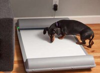 Automated Indoor Canine Toilets Image 3