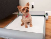 Automated Indoor Canine Toilets Image 4