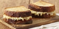 Summery Cheese-Themed Menus Image 3