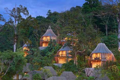 Rainforest Tree Hotels