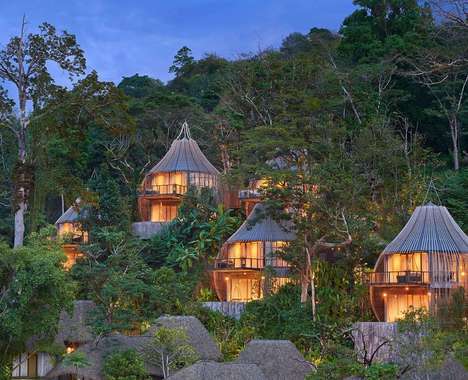 Trend maing image: Rainforest Tree Hotels