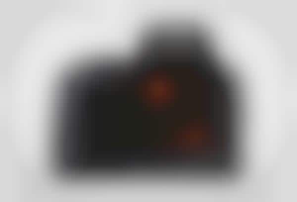 Oversized Lens Digital Cameras