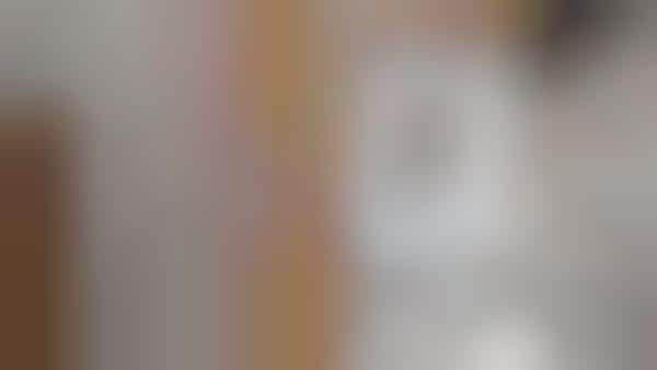 Trapeze-Inspired Atrium Embellishments