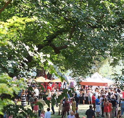 Barbecue-Bound Wine Tours