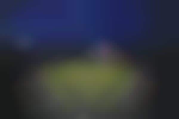 Biometric Baseball Tickets