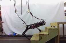 Disaster-Tacking Rescue Robots