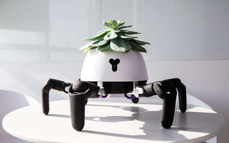 Robotic Flower Pots