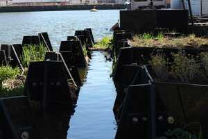 Eco-Friendly Floating Parks Article Thubnail