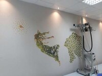 Artful Wallprinting Technology Image 5