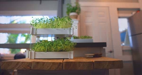 Stacking Hydroponic Gardens