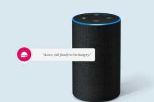 Voice-Ordering Delivery Features