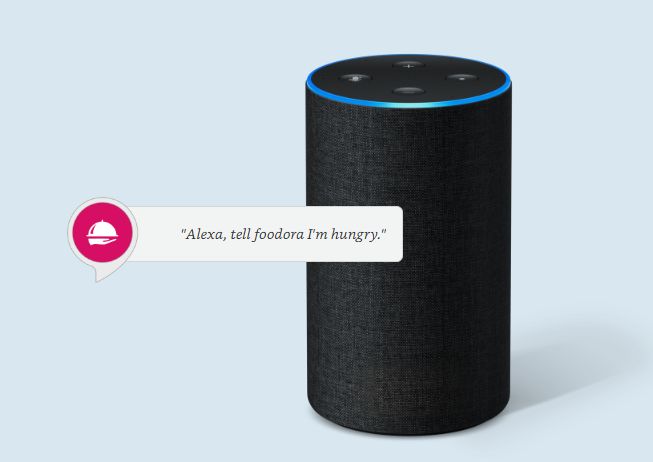 Voice-Ordering Delivery Features