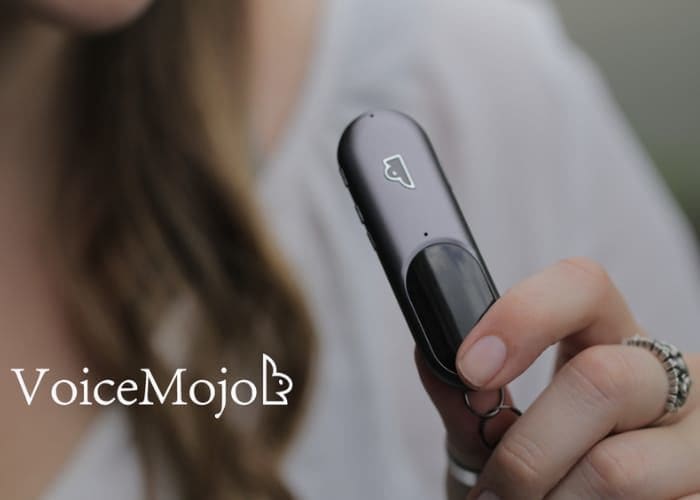 AI Voice Assistant Wearables