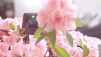 Automated Gardener Watering Systems Image 2