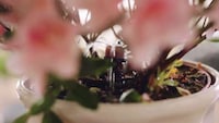 Automated Gardener Watering Systems Image 3