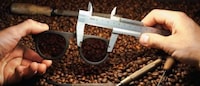 Ethical Coffee-Made Sunglasses Image 3