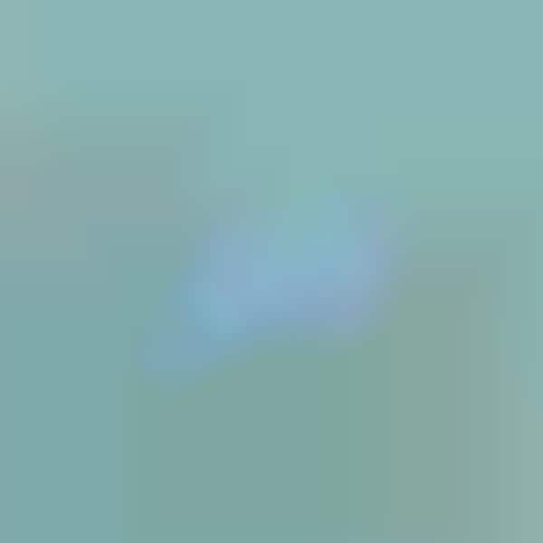 Shape-Accenting Aerial Photographs