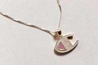 Sportswear Logo Necklaces Image 3