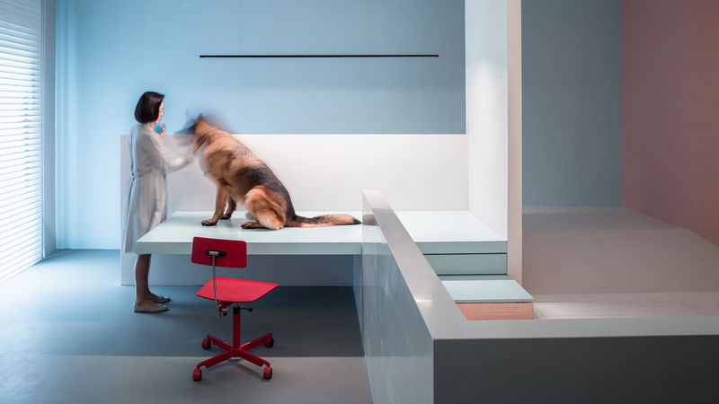 Accessible Pet-Focused Homes
