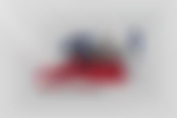 France-Celebrating Sneakers