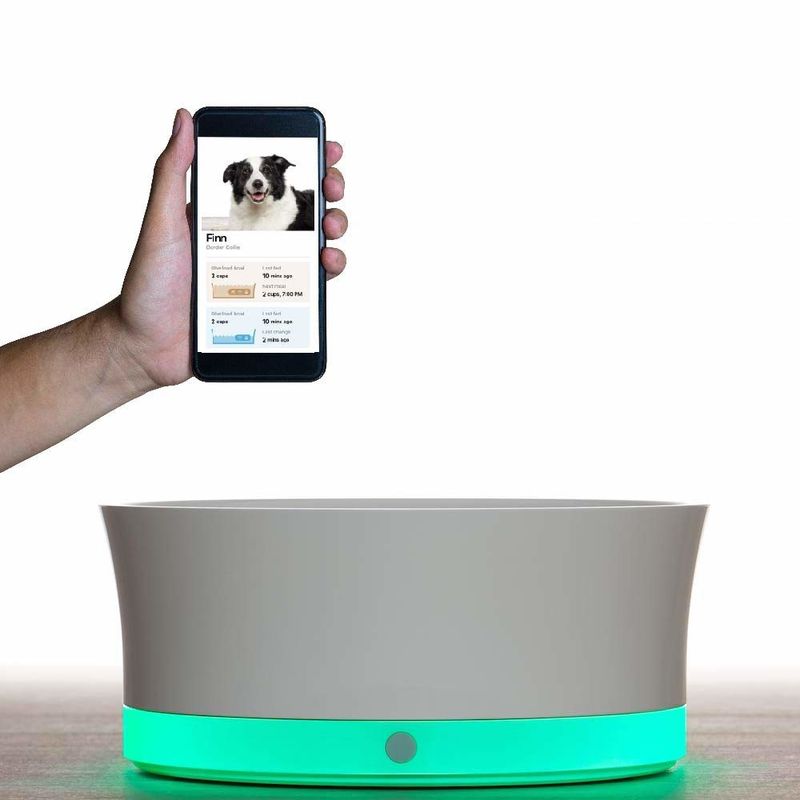 Connected Canine Food Bowls