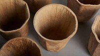 Organically Grown Disposable Cups