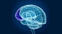 Brain Performance-Enhancing Devices Image 4