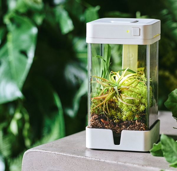 Top 100 Eco Trends in August