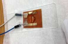 Mosquito-Borne Virus Detectors