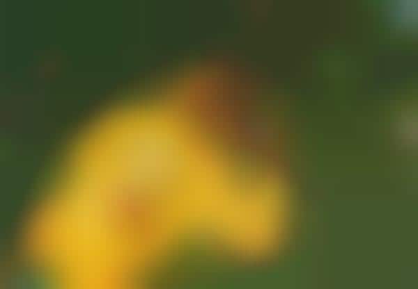 Contemporary Multimedia Exhibitions