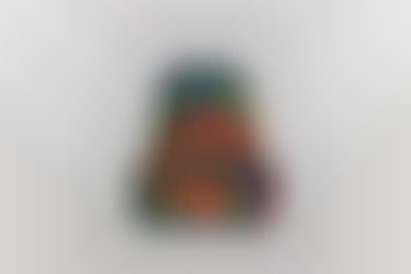 Luxe Tie-Dye Backpacks