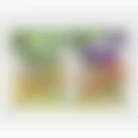 Plant Protein Dumplings Image 1