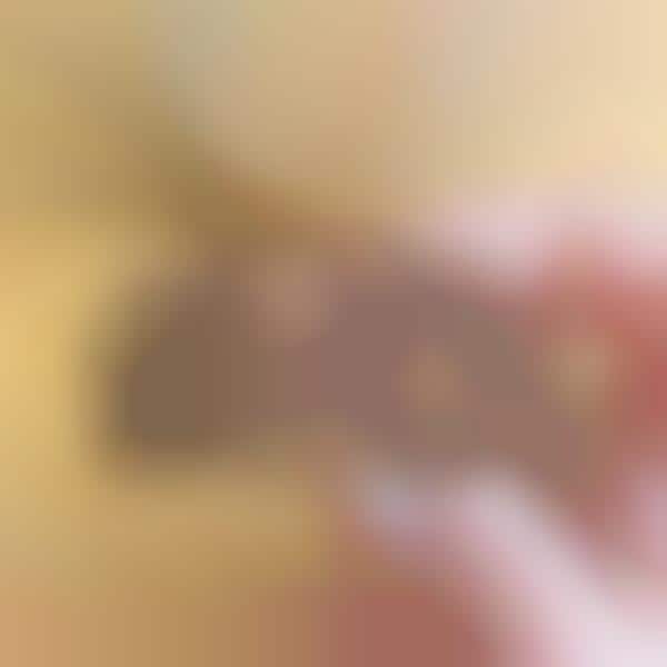 Functional CBD Cookies