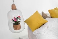 Plant-Integrated Hanging Lights Image 2